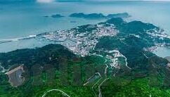苏比萨雷塔世界杯出场-苏比萨雷塔，世界杯舞台上的传奇出场